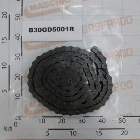 ROLLER CHAIN ISO 20 B-1  135M