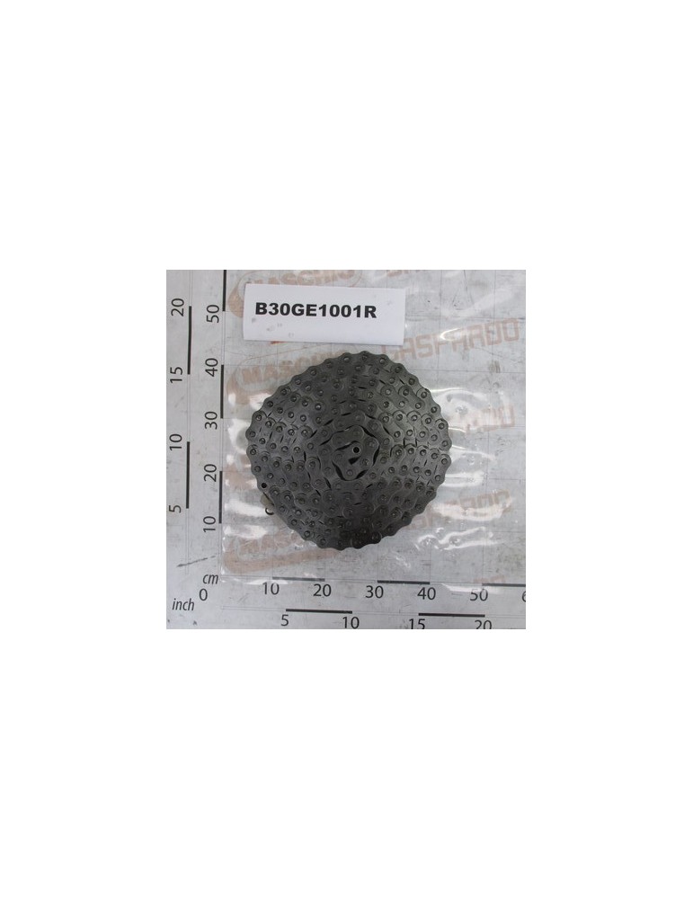ROLLER CHAIN ISO 20 B-1  141M