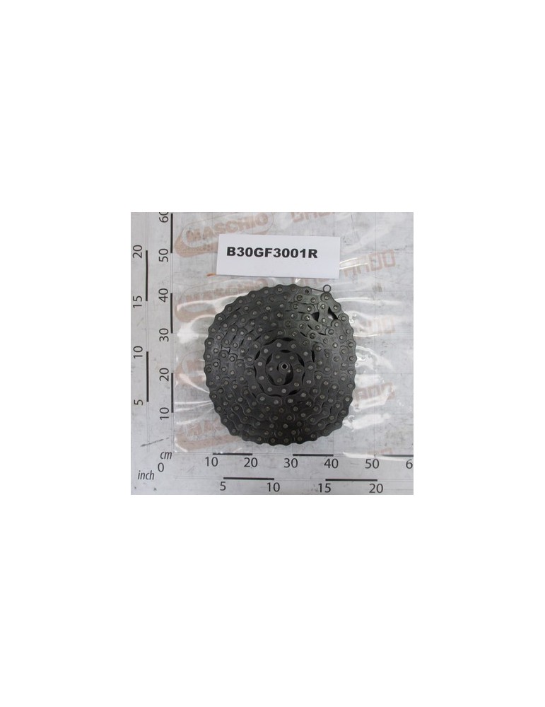 ROLLER CHAIN ISO 20 B-1  163M