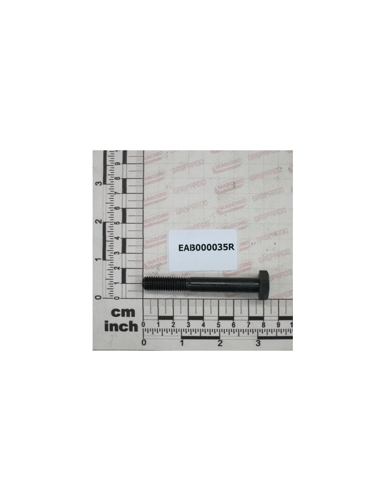SCREW M 10 X 75 UNI 5737