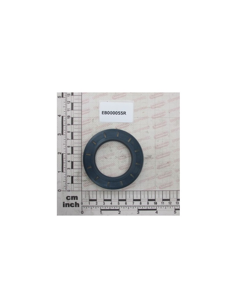 SEEGER 50X80X10