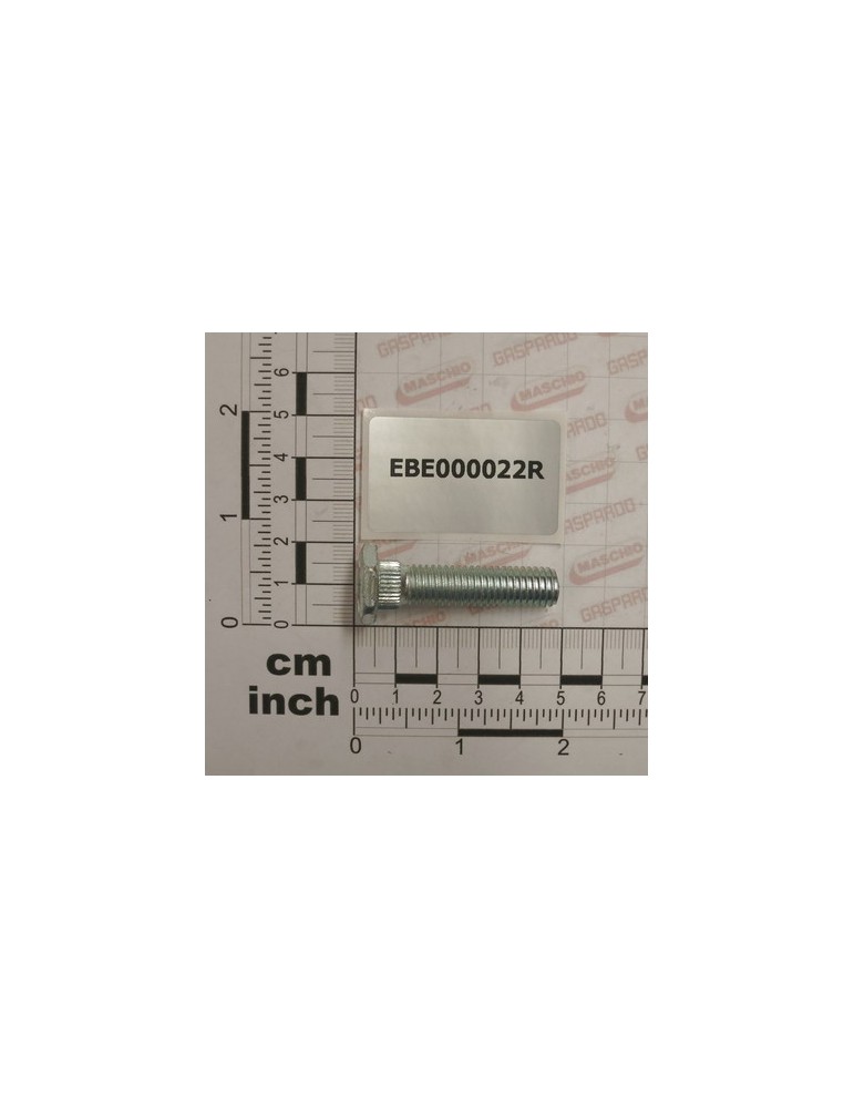 CONNECTION BOLT ZIGR 10X38