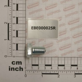 SCREW M 12X20