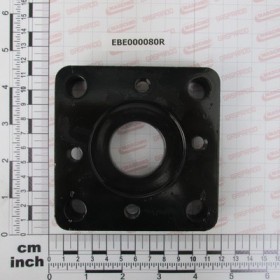 FLANGE