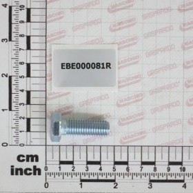 SCREW TSPEI 12X35