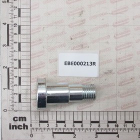 PIN BALANCE