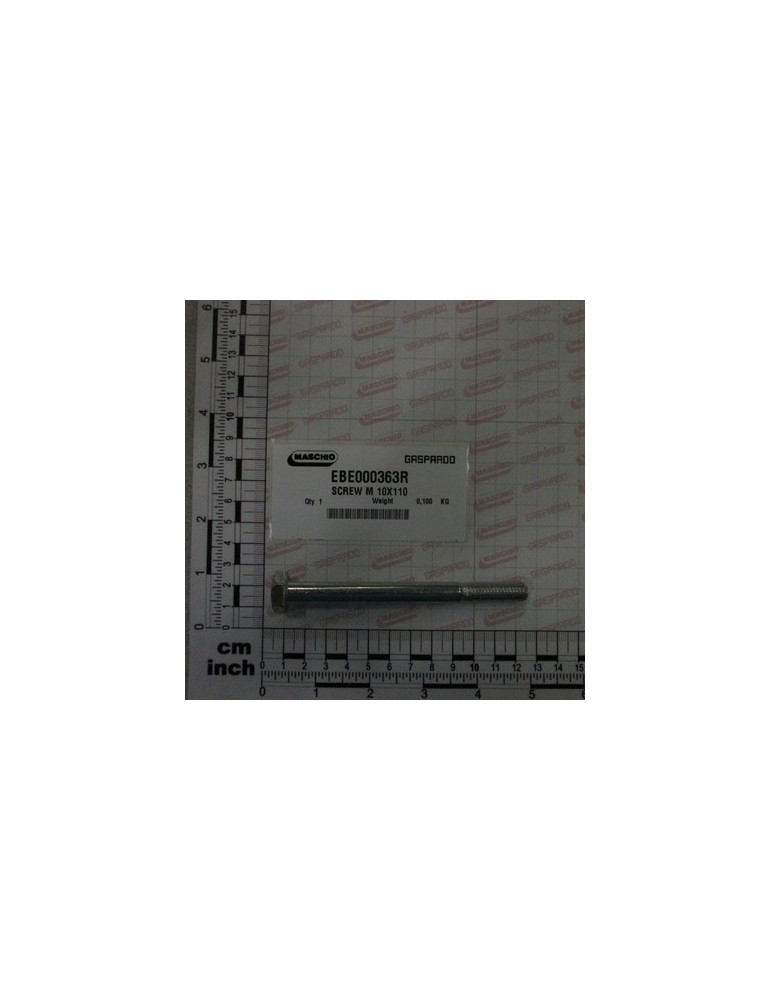 SCREW M 10X110