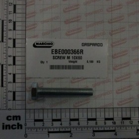 SCREW M 10X60