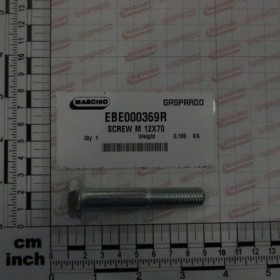 SCREW M 12X70