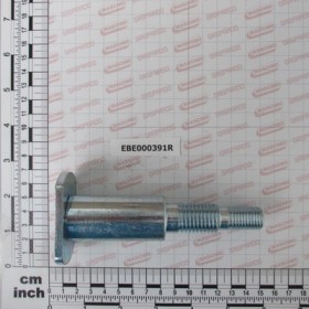 PIN