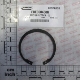 RING SEEGER I 72