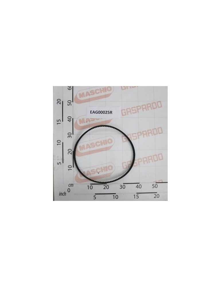 Maschio Gaspardo CINGHIA SPA-1107-REX EAG00025R