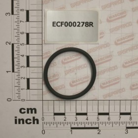 O-RING