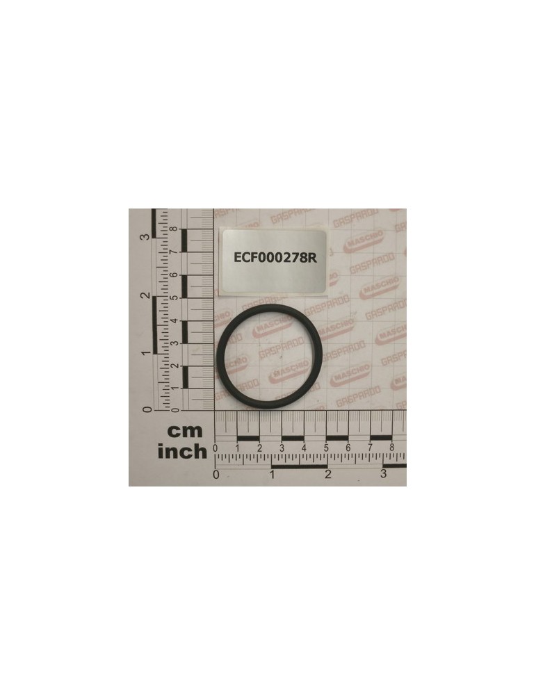 O-RING