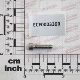 SCREW T.C.E.I. 8.8 GEOMET M6X2