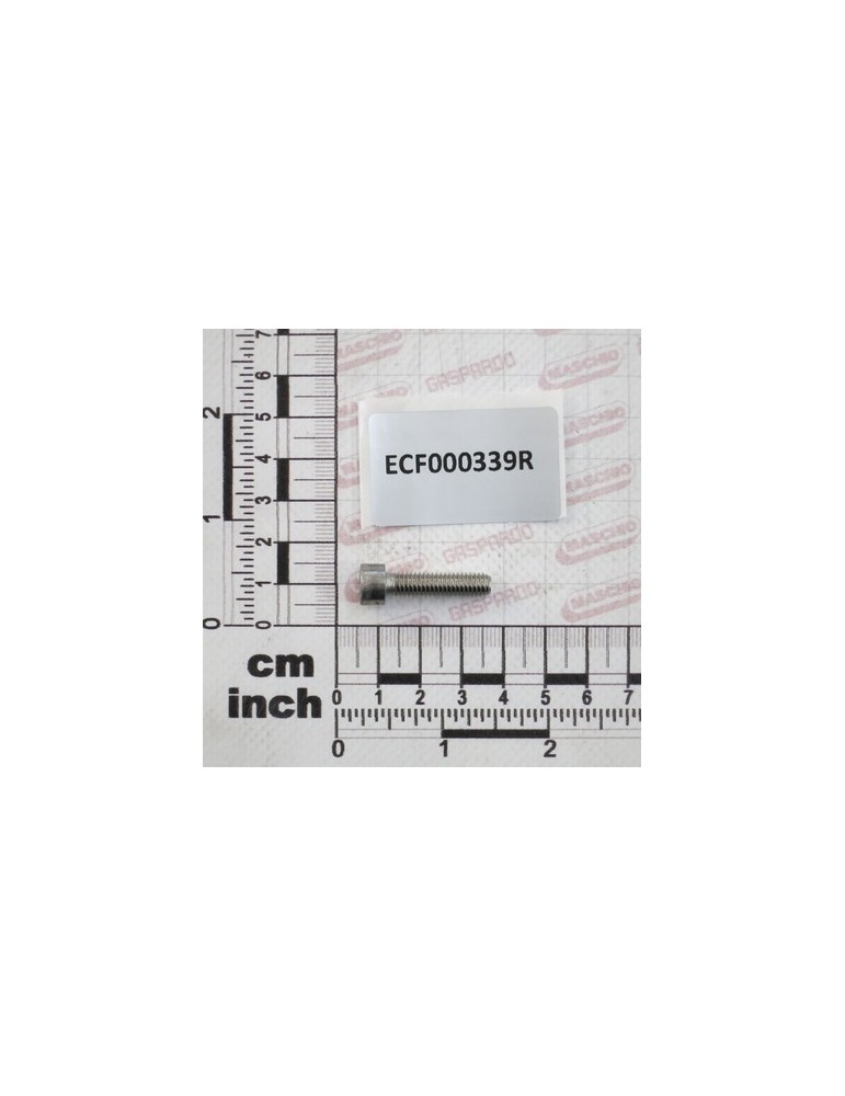 SCREW T.C.E.I. 8.8 GEOMET M6X2