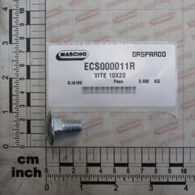 SCREW 10X20