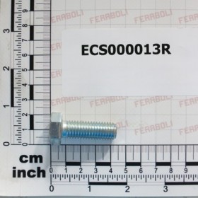 SCREW 12X35