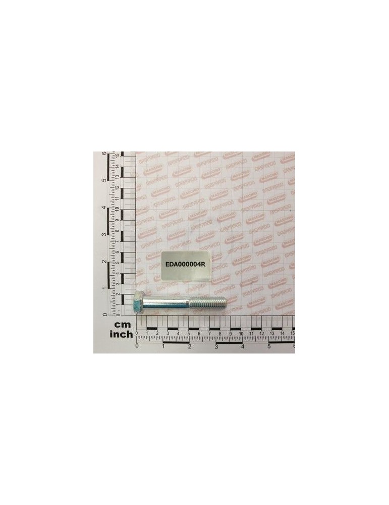 Maschio Gaspardo SURUB TE PF M12X75 ZN EDA000004R