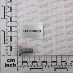 Maschio Gaspardo SURUB SPEC M10X25 EGF000080R