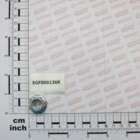 Maschio Gaspardo DADO FLANGIATO ZIGR.M10 EGF000136R