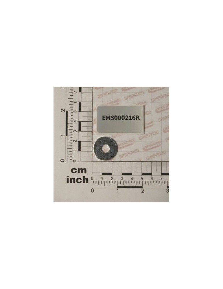 Maschio Gaspardo RONDELLA PIANA M 8- 9 X24X2 EMS000216R