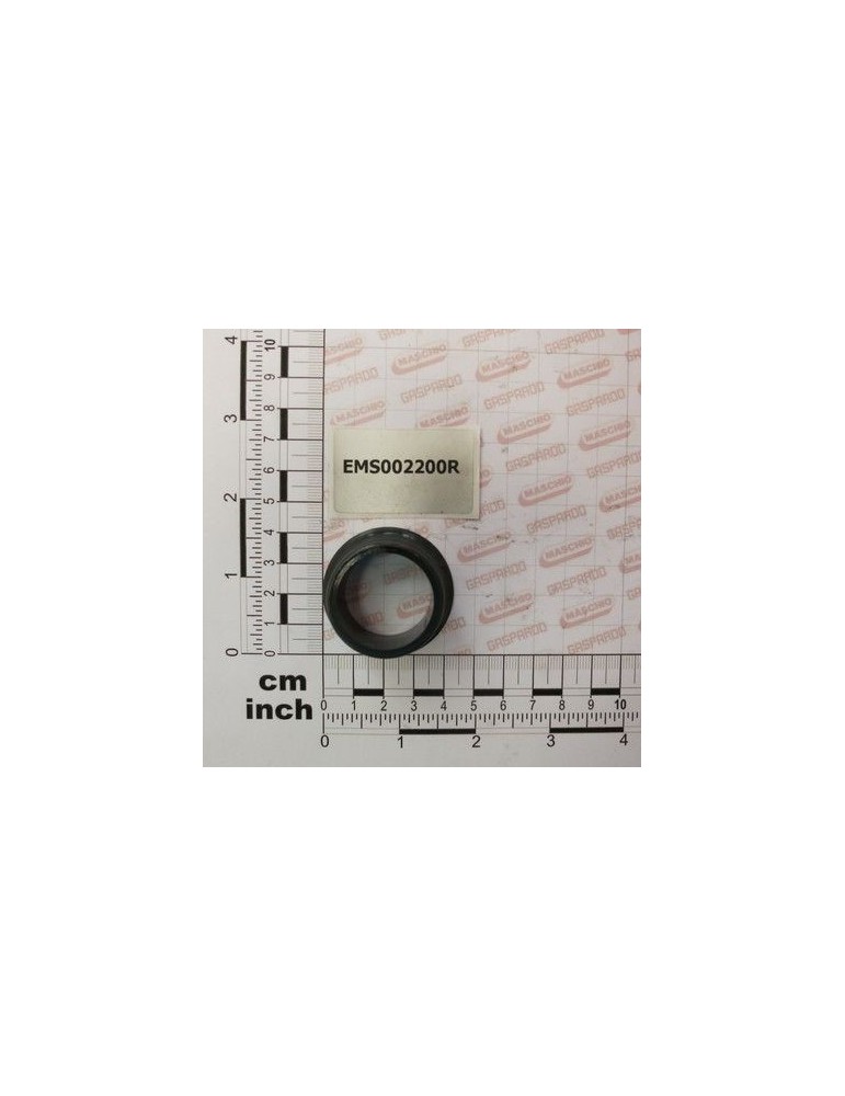 Maschio Gaspardo BOCCOLA NYLON(RULLO PICK-UP) EMS002200R