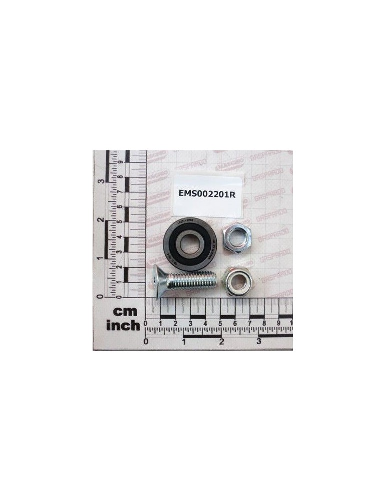 Maschio Gaspardo COMPL.ROTELLA (RULLO PI EMS002201R