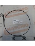 O-RING 245X3,1