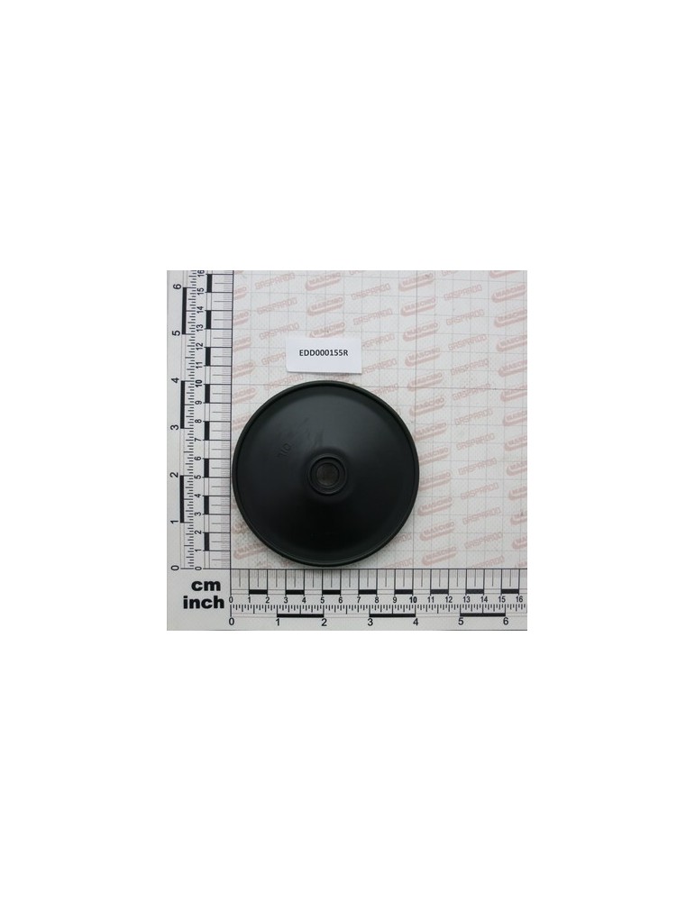 DIAPHRAGM