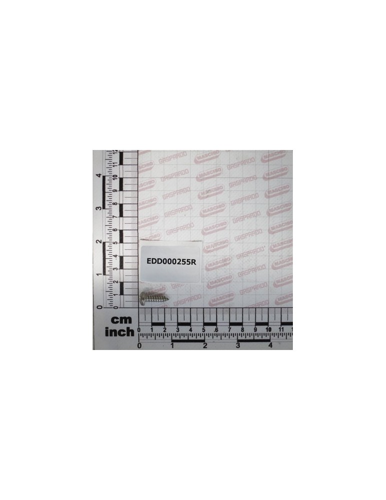 INOX SCREW