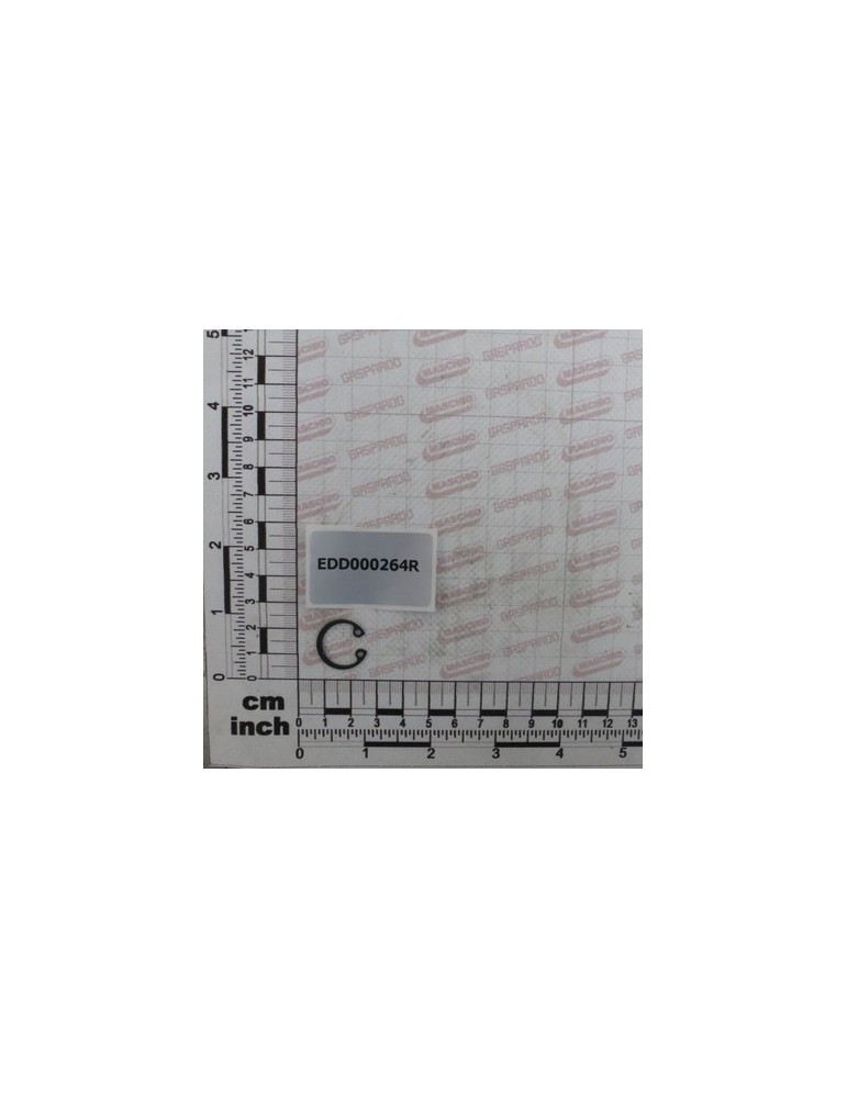 O-RING SEEGER 18I