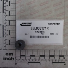 MAGNET