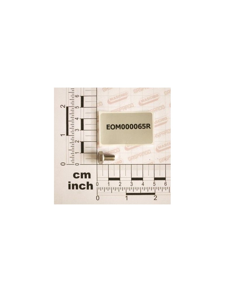 Maschio Gaspardo SURUB 6X10 INOX UNI5739 DIN933 EOM000065R