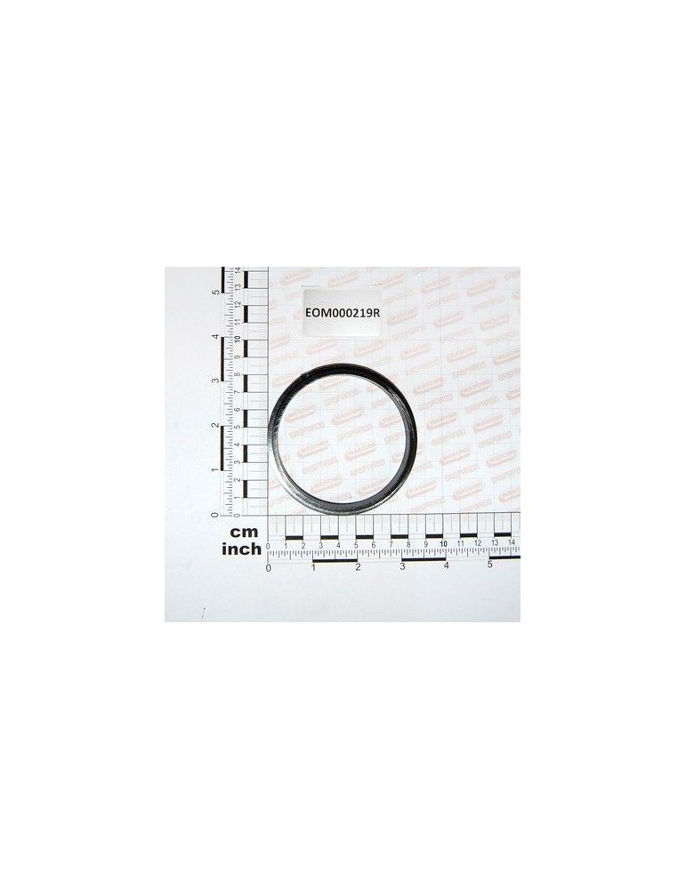 Maschio Gaspardo AN.IN PLA85X73X13 X SARACINESC EOM000219R