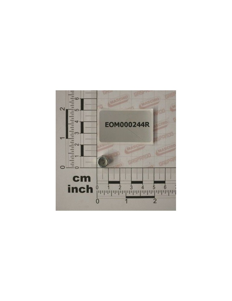 Maschio Gaspardo PIULITA M6 INOX UNI7474 EOM000244R