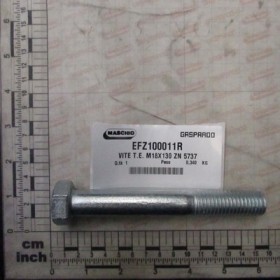 SCREW T.E M18X130 ZN 5737