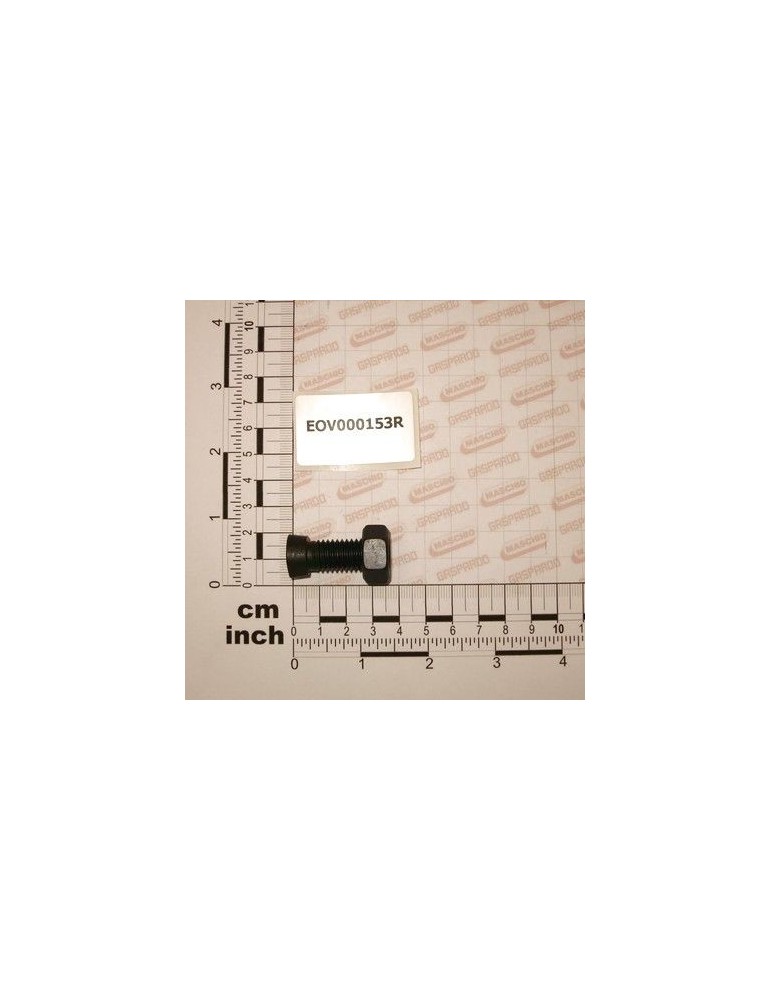 Maschio Gaspardo Surub 12x36 EOV000153R