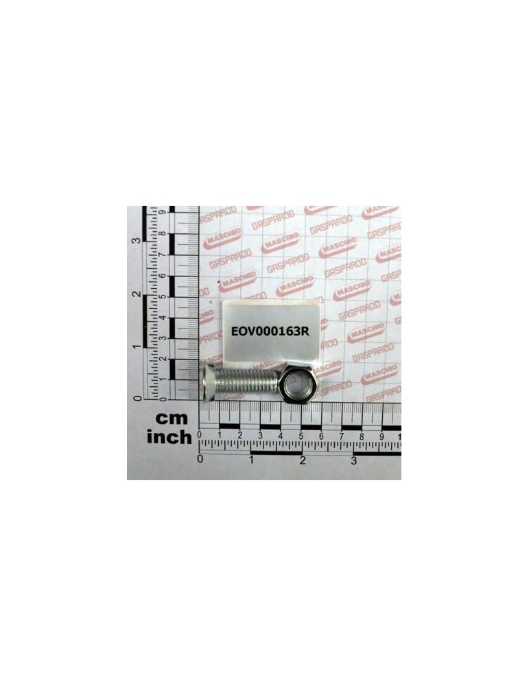 Maschio Gaspardo VITE+DADO 2NIBS934 12 35 8.8 Z EOV000163R