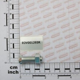 Maschio Gaspardo VITE+DADO 934 12 45 8.8 ZINC EOV001293R