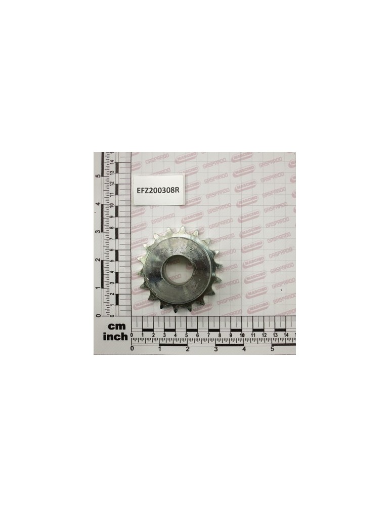 PINION