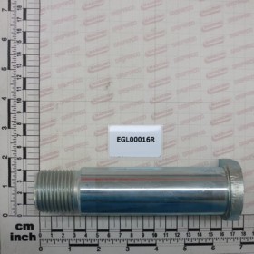 PIN D. 40X155 GL 1