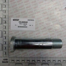 PIN D. 40X163