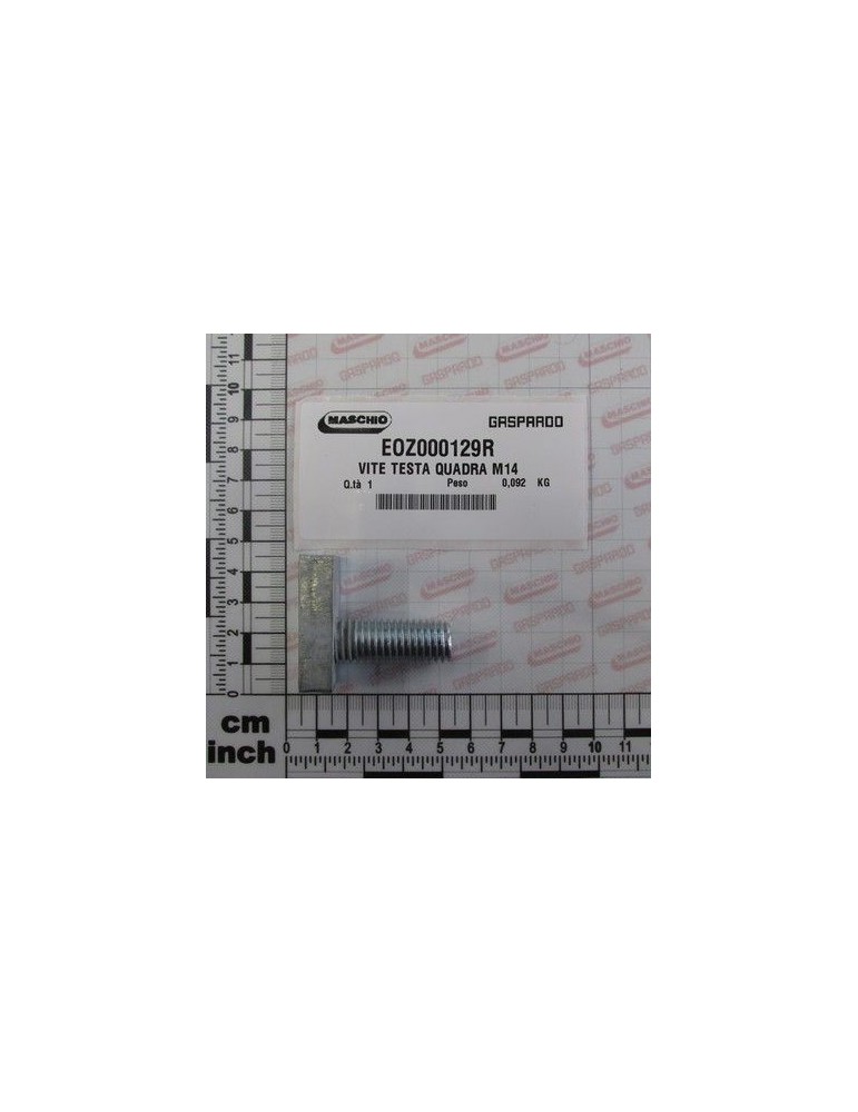 Maschio Gaspardo SURUB CAP PATRAT M14 EOZ000129R