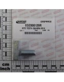 Maschio Gaspardo SURUB CAP PATRAT M14 EOZ000129R