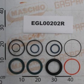 GASKET KIT 100/4