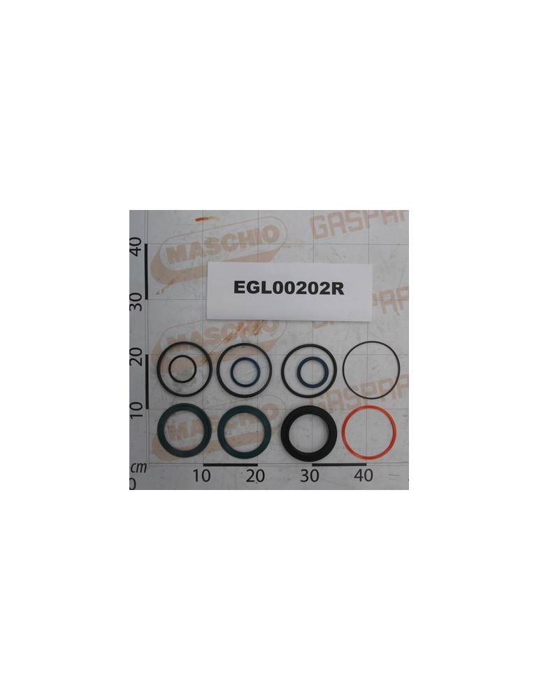 GASKET KIT 100/4