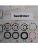GASKET KIT 100/4