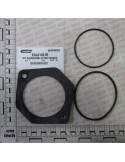 DRAIN FILTER SEALS KIT