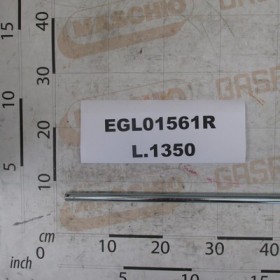 AUCTION STOPS BAND. DP 125